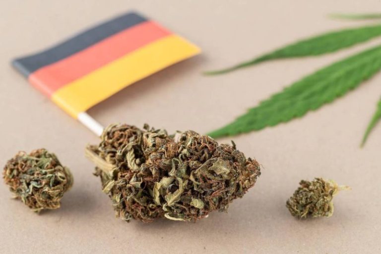 Germany’s Medical Cannabis Boom: Data-Driven Insights for Investors